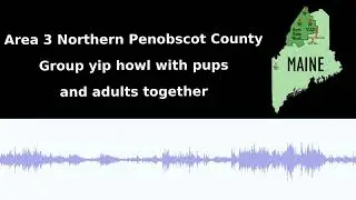 Area 3 Northern Penobscot County