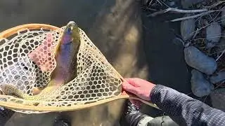A Fun Day on the River!