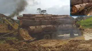 The logging Truck is stuck in the mud road.