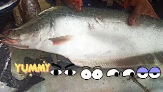 Amazing Chitol Fish Cutting Skills In Indian Fish Market