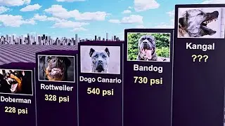 Dog Breeds with Strongest Bite Force