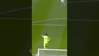 Asmir Begović Goalkeeper Goal against Southampton