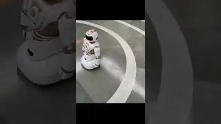 White Robot Performing Motion Sequences | Robotics in Action #robot #robotics #arduino #proteus