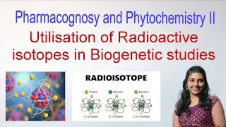 Radioactive Isotopes in Biogenetic Studies &ndash; Pharmacognosy & Phytochemistry II | B.Pharm 5th Sem