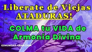 Llama Violeta Poderosa│ URGENTE SELLA tu Protección Áurica  ⚛️ TRASMUTA DISUELVE LIBERA  🔮