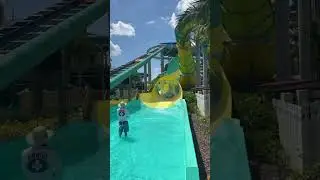 Fun at Water Park Adventure Island, Busch Gardens