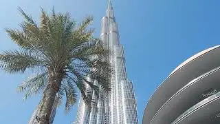 DSCN8473