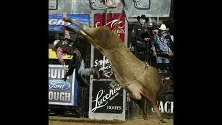 Crossfire Hurricane bucks Jared Farley - 04 PBR Grand Rapids