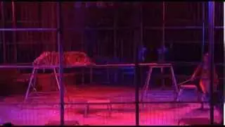 Madame Claudine - Tigers