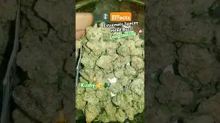 Jlitty's MAC Smalls THCa Review #indoor #Fire #THCa #Top5