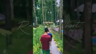 Air Terjun 7 Bidadari Jember | Tempat Camping Dengan Kolam Renang Berlatarkan Hutan Pinus