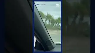 Vice President JD Vance arrives in Naples for fundraising event