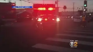 Police Search For Driver In Fatal Hit-And-Run At South LA Bus Stop