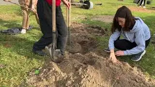 Birchview Dunes ES tree planting partnership