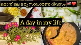 A Day in my life vlog | first Vlog |oman simple cooking | Asma Ismail