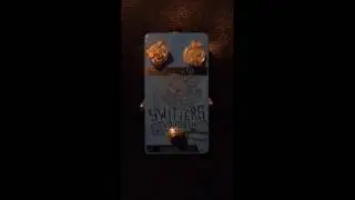 Switters Boost and Lo-Fi Overdrive by Bookworm Effects