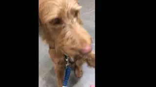 Caramel's First Movie