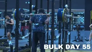 bulk day 55/heavy leg day