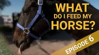 What to feed your horses - On The Ranch with Barbara Jackson Episode 6