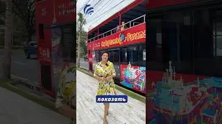Туристический автобус за $30: как увидеть всю Панаму за 1 день #панама #panama #panamacity #тур