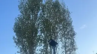 من لا يرى فيك الا العيب لا تنتظر منه أنصافاً