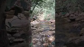 nature water stream #nature #waterfall #waterstreamsounds #trendingshorts