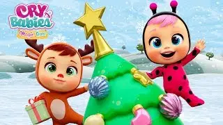 🎄🎁 Early CHRISTMAS 🎁🎄 CRY BABIES 💧 MAGIC TEARS 💕