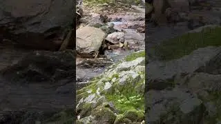 Sounds of nature, Daedun Mountain Wanju Korea 10 #soundsofnature #daedunsan #naturesounds