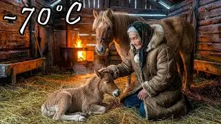 90-Year-Old Woman Finds Hope Again With a Newborn Foal  | −70°C Siberia