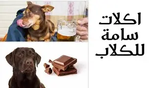 الاكلات السامة للكلاب # عالم الكلاب # تغذية الكلاب (1)