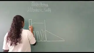 ULTRASONIC FIELDS