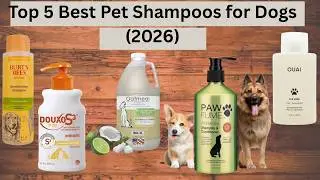 Top 5 Best Pet Shampoos for Dogs 2025
