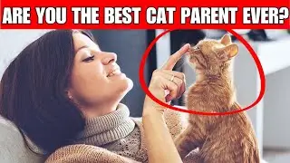 6 Signs You Are the BEST CAT PARENT ever!
