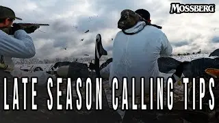 Late Season Goose Calling Tips
