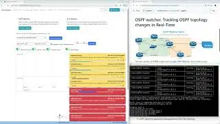 OSPF Watcher. Real time Monitoring with instant notification.