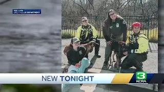 Sacramento County dog rescued from rising water now faces euthanasia