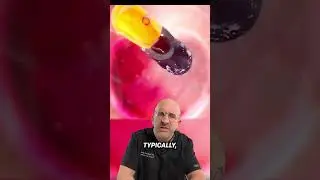 The Winner - Tylenol vs. Motrin 🥊 #shorts
