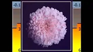 Jay Mellock - Bloom (Deep Bass Edit)