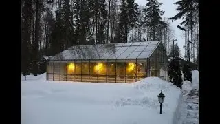 Прогулка по зимним теплицам, а также обзор черенка .