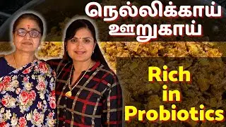Probiotics நிறைந்த நெல்லிக்காய் ஊறுகாய் / Healthy Amla Pickle / Gooseberry Pickle Recipe #probiotics