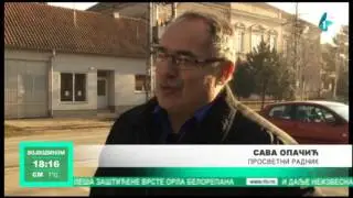 Ravničarenje: Novi Karlovci