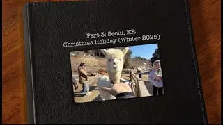 Part 3- Seoul, South Korea (Christmas Holiday 2025)