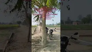 #Lucknow#Sitapur road#bhaisamau crossing#SR college ke pass gate se matra 500 meter duri 2.6 Bigha