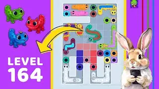 Gecko Out Level 164 Solution Walkthrough