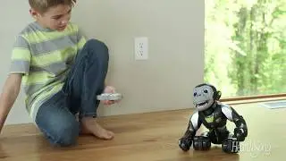 Monkey Robot