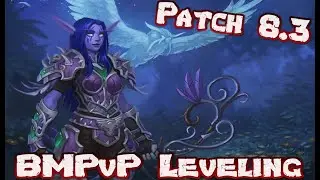 8.3 BM Hunter Leveling - BattleMasterPvP BFA Leveling Update