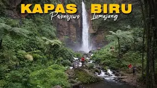 Kapas Biru - Pronojiwo Lumajang Destinasi Wajib di Dekat Tumpak Sewu