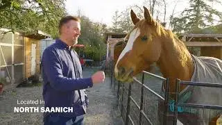 North Saanich Acreage. Equestrian Ready. Sunny and Flat.
