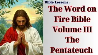 Bible Lessons : The Word on Fire Bible Volume III The Pentateuch