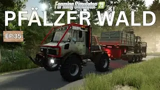 Die Halle macht Fortschritte - Pfälzer Wald 🌲 EP.35 - LS25